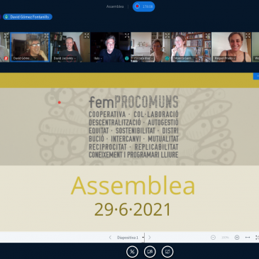 Assemblea General Ordinària de femProcomuns,  Juny 2021
