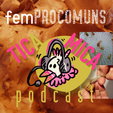 Podcast TICaMica: argila, llavors i codi font