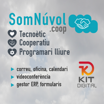 Ajudes per fer el salt a SomNúvol: beques, subvencions i Kit digital 2022