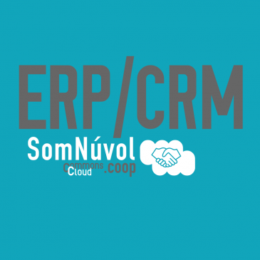 Què és el Gestor ERP/CRM de SomNúvol?
